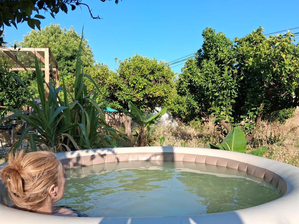 Natural landscape, Garden, Hot Tub
