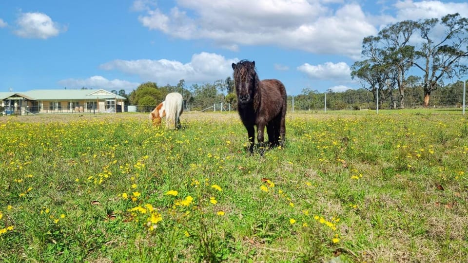 Roads End with Games Barn Ponies Alfresco Dining House in Keinbah