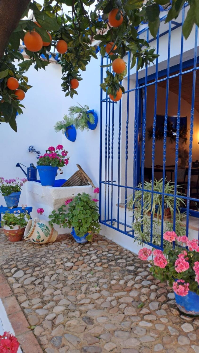 Property building, Day, Garden, Garden view
