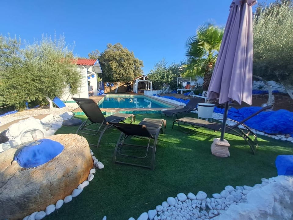 Day, Natural landscape, Garden, Garden view, Pool view, Swimming pool, sunbed