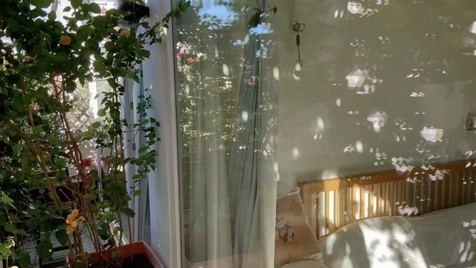 Votre chambre avec salle de bain privée et balcon végétal à Lisbonne Amoreiras - Your Room with private bathroom and balcony in Lisbon Amoreiras Bed and Breakfast in Lisbon