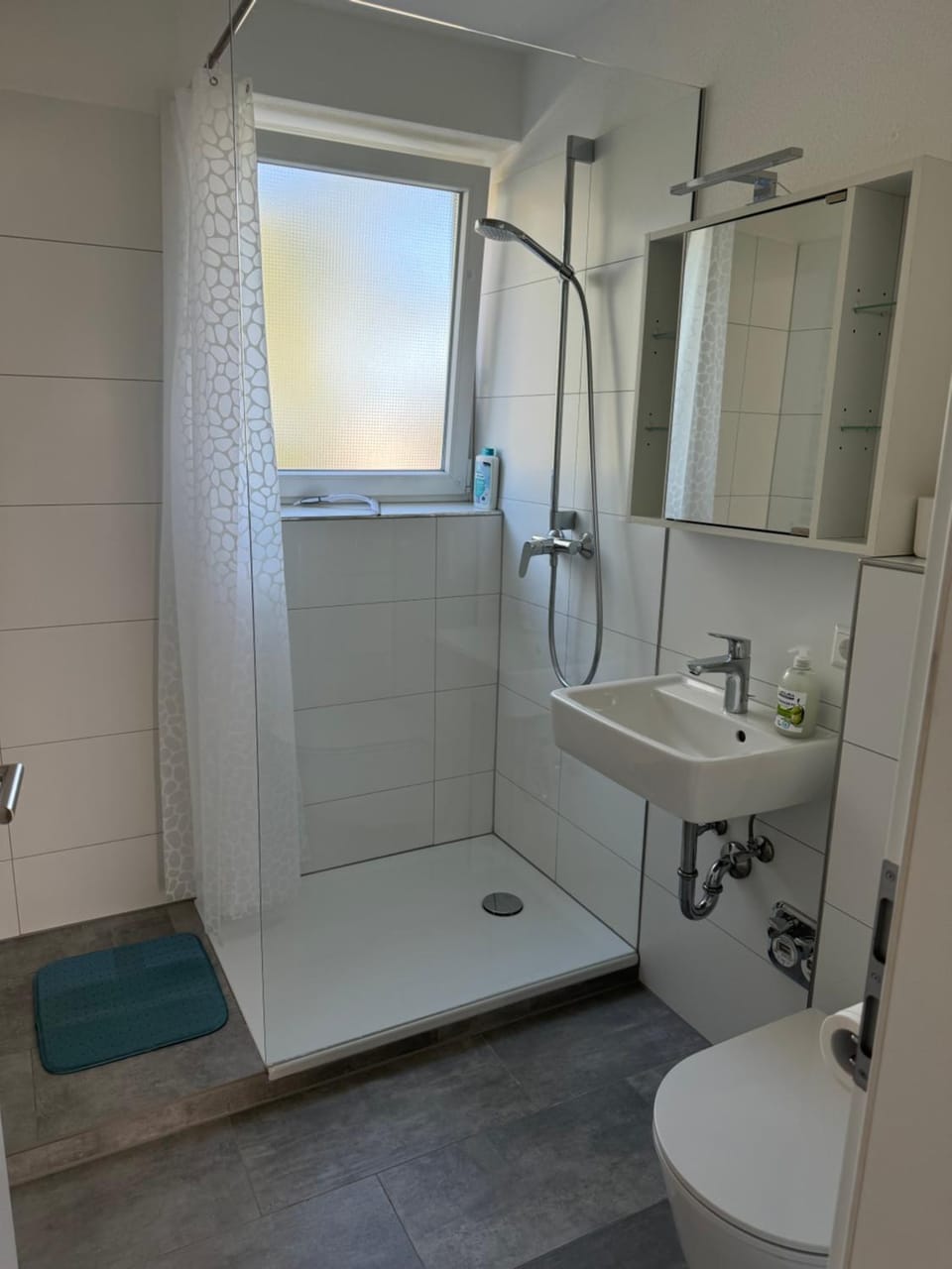 RheinZeit Säckingen Apartment in Baden-Württemberg