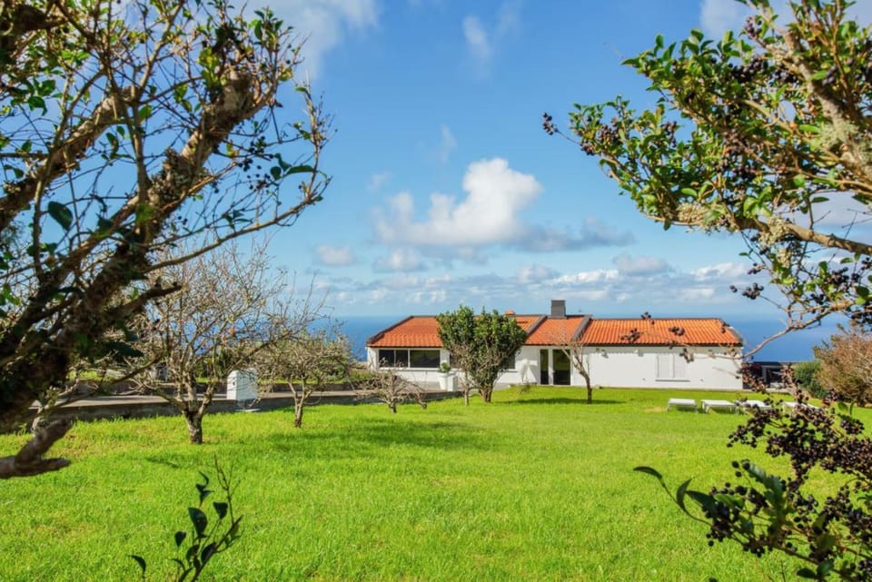Property building, Natural landscape, Garden