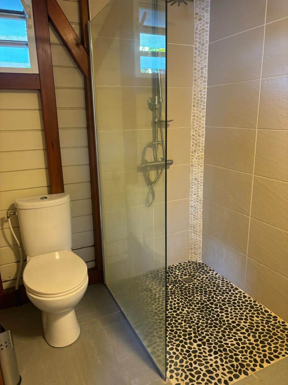 Shower, Toilet