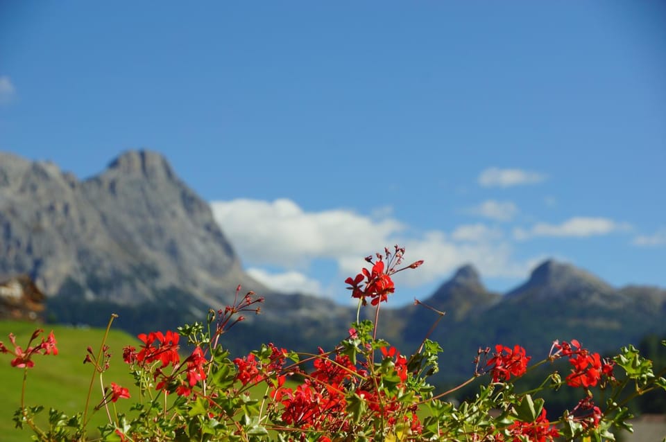 Natural landscape, View (from property/room), Balcony/Terrace, Mountain view