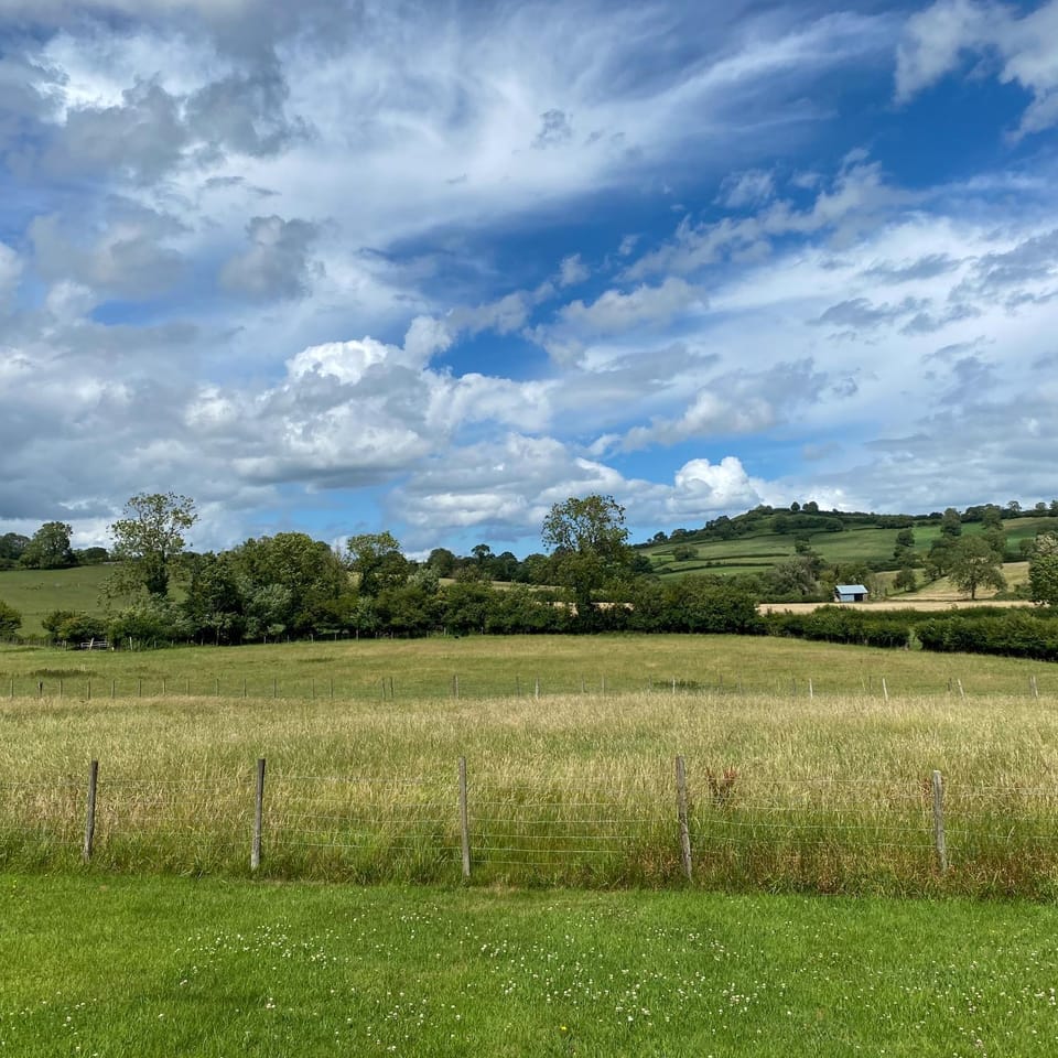 Natural landscape