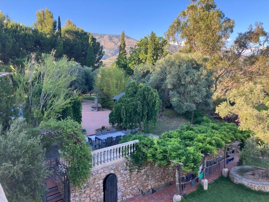 Garden view