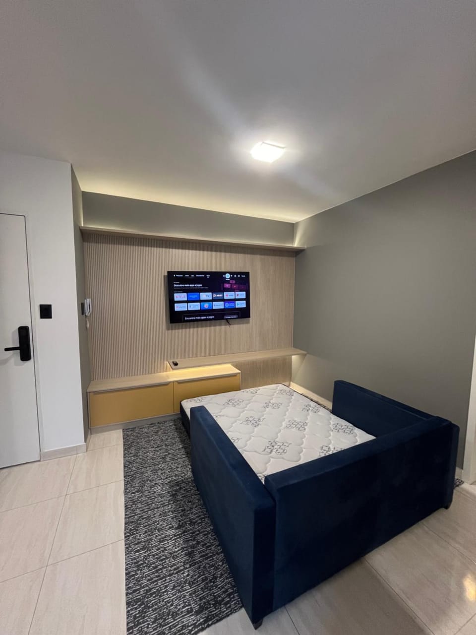 TV and multimedia