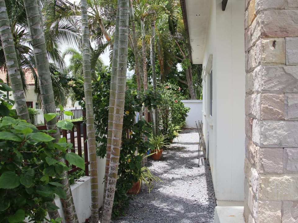 Garden view