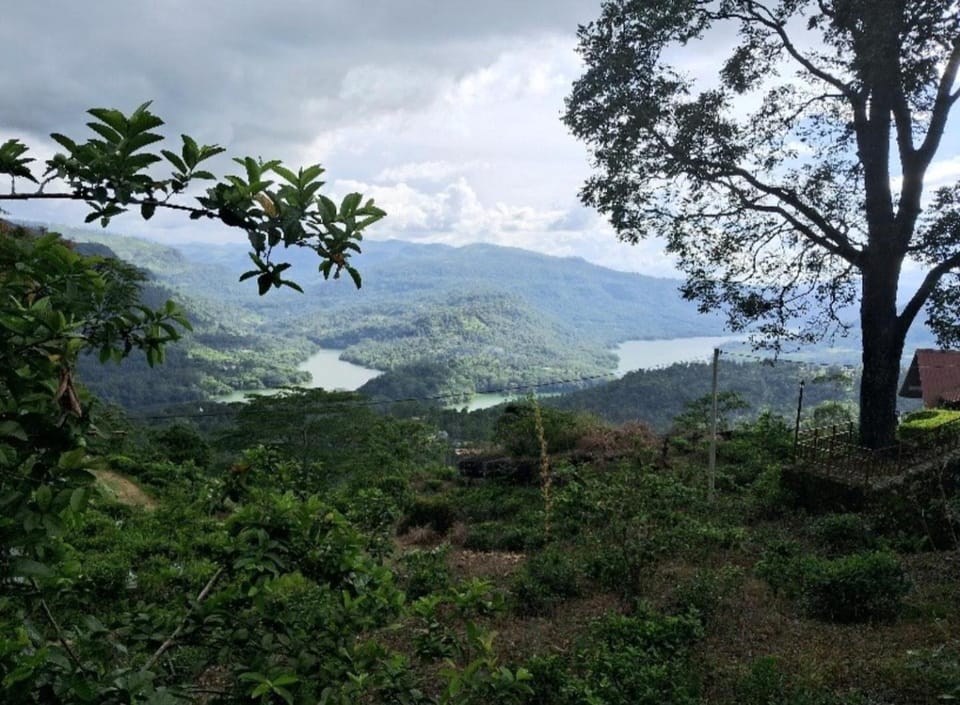 GladWin Holiday Rental Apartment in Central Province