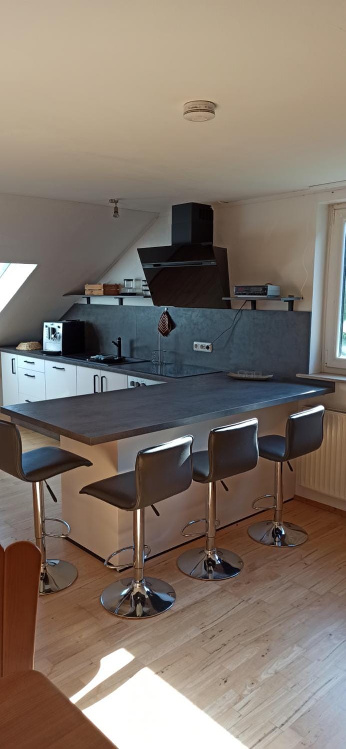 Kitchen or kitchenette, kitchen