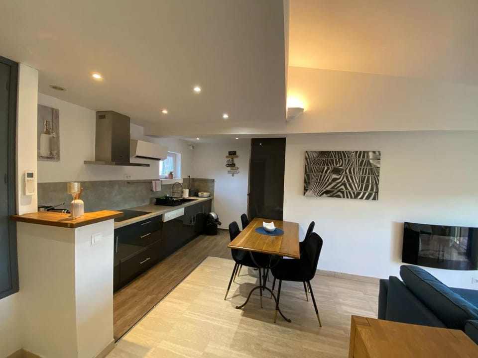 Le grand Castille Apartment in Uzes