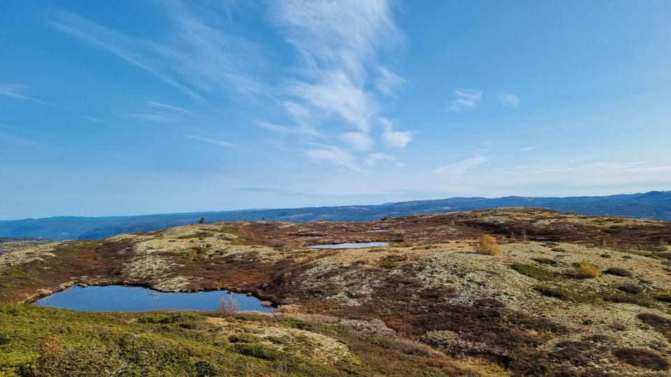 Natural landscape