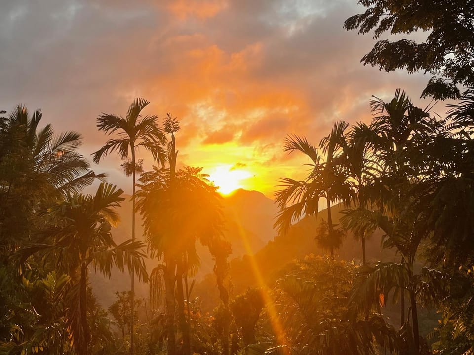 Day, Natural landscape, Sunrise