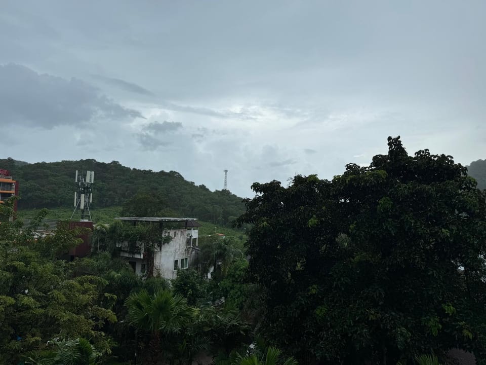 Natural landscape