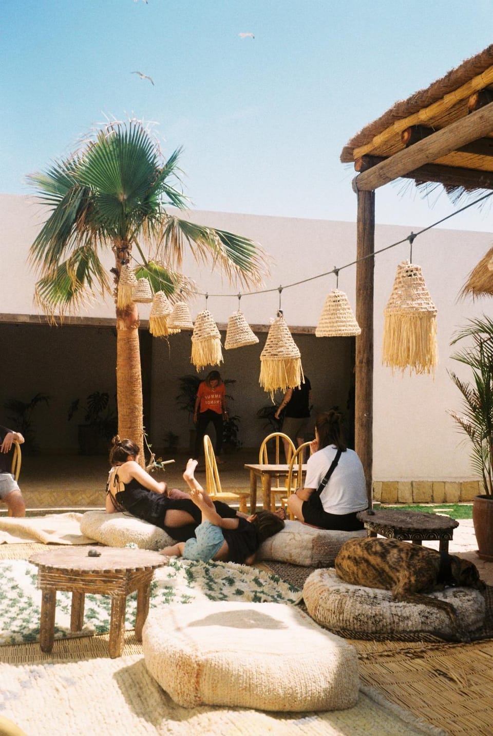 Restaurant/places to eat, Lounge or bar