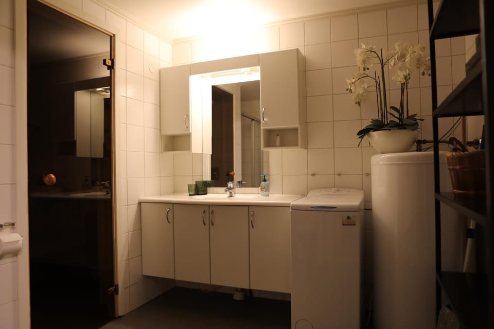 Sauna, Bathroom