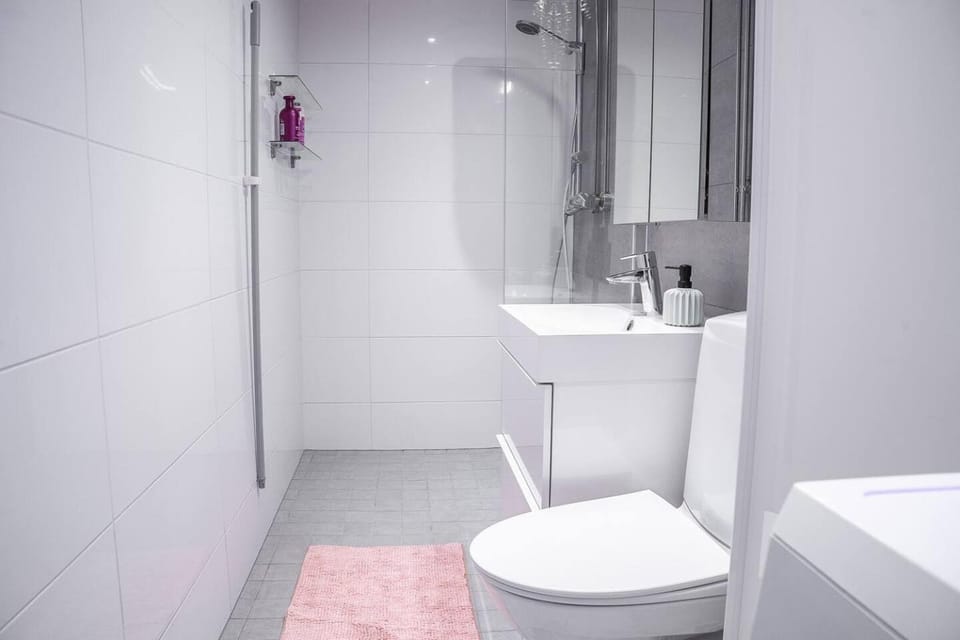 Toilet, Bathroom, Photo of the whole room, bidet, hair dryier, washing machine
