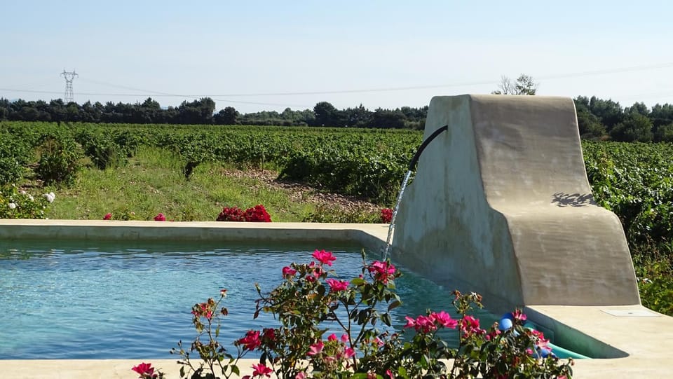 Garden, Garden view, Pool view, Swimming pool, Swimming pool