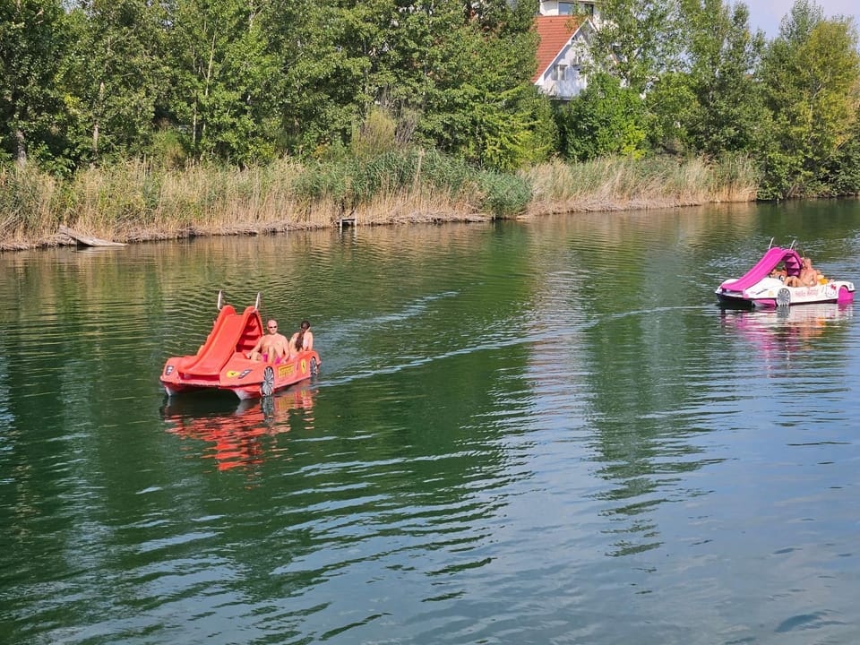 Natural landscape, Activities