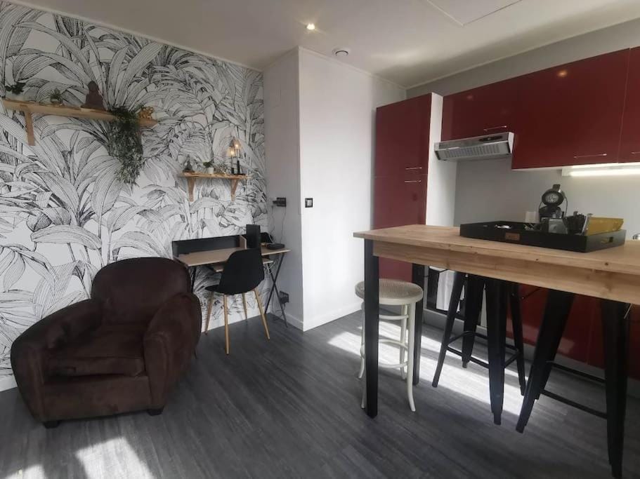 Le Cocon Zen - Balcon -Bureau - Centre-ville Apartment in Castelnaudary