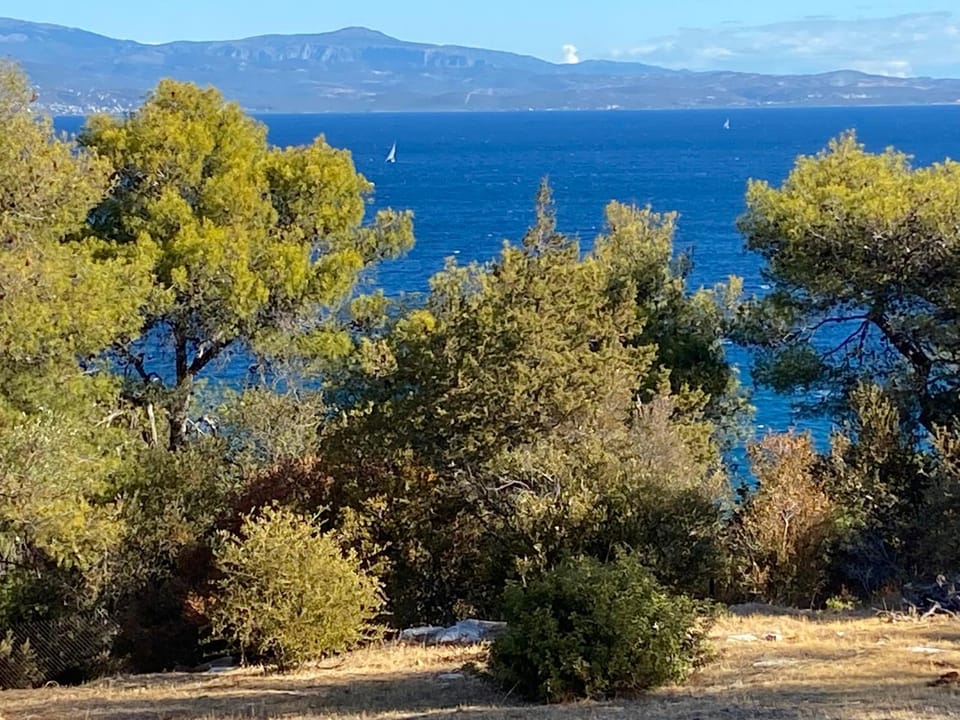 Garden, Sea view