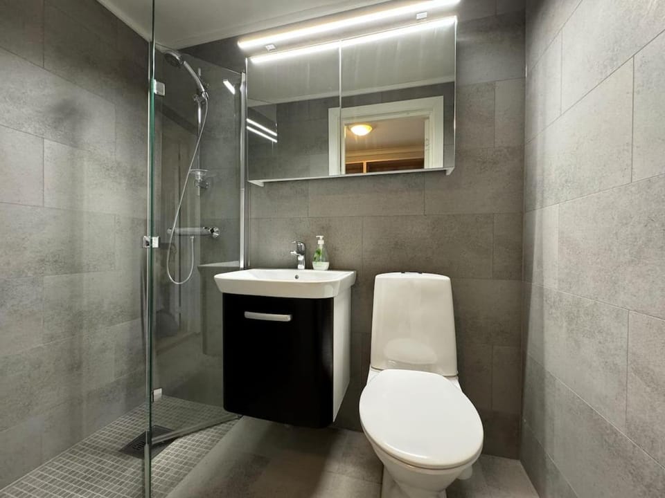 Bitihorn hotellfølelse i sentrum Apartment in Innlandet