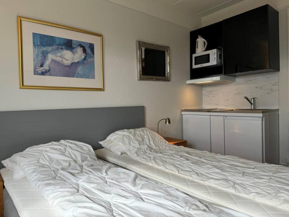 Bitihorn hotellfølelse i sentrum Apartment in Innlandet
