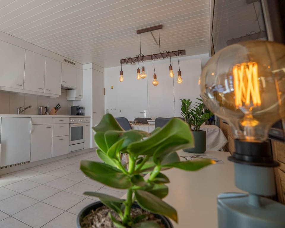 Kitchen or kitchenette, dishwasher, stove