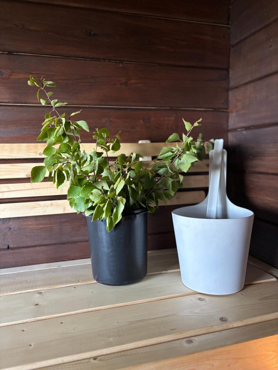 Sauna, Open Air Bath