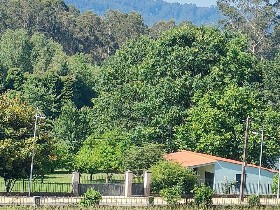 Property building, Mountain view