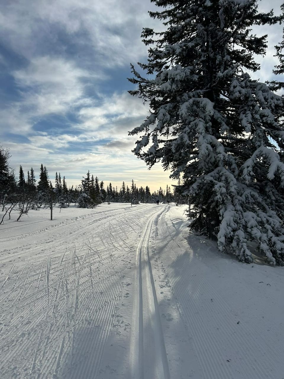 Natural landscape