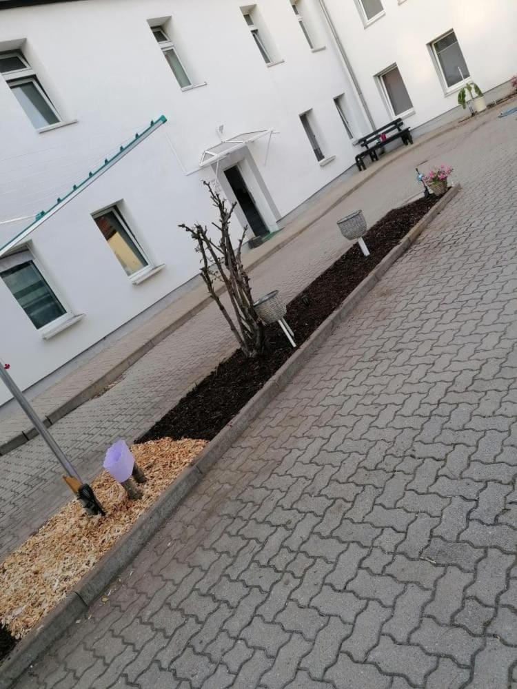 SeeTime Apartmenthouse XXL Apartment in Thuringia, Germany