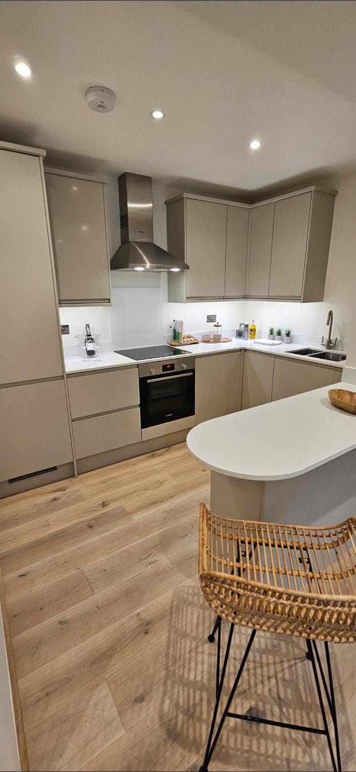 Stylish new 2 bedroom apartment Apartment in London