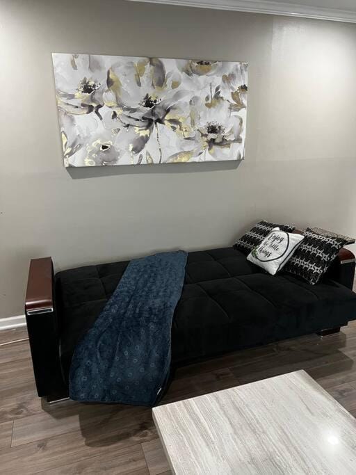 Modern 3 Bedroom Ranch House House in Delaware