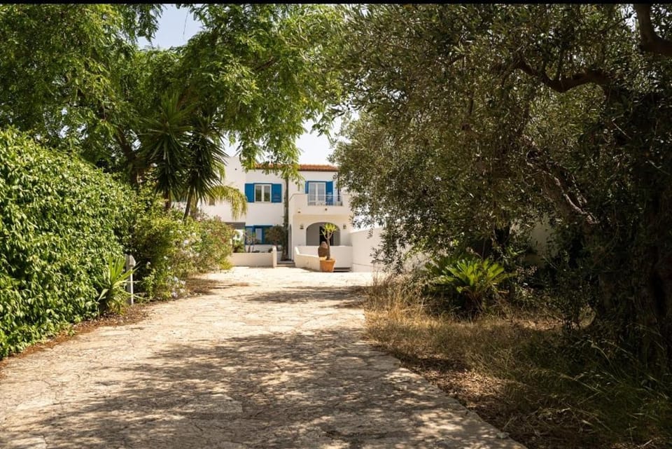 Property building, Natural landscape, Garden, Garden view