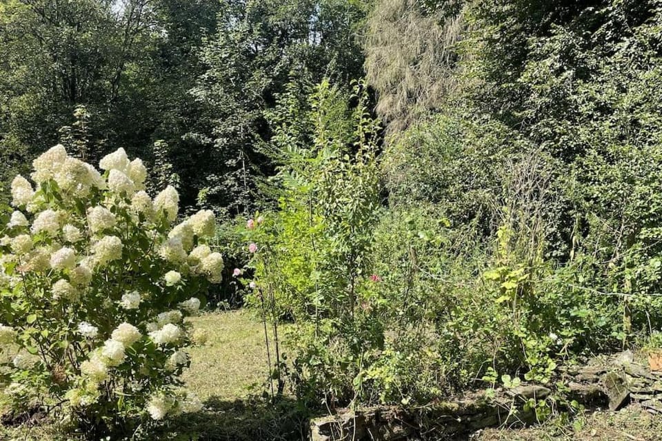 Garden, Garden view