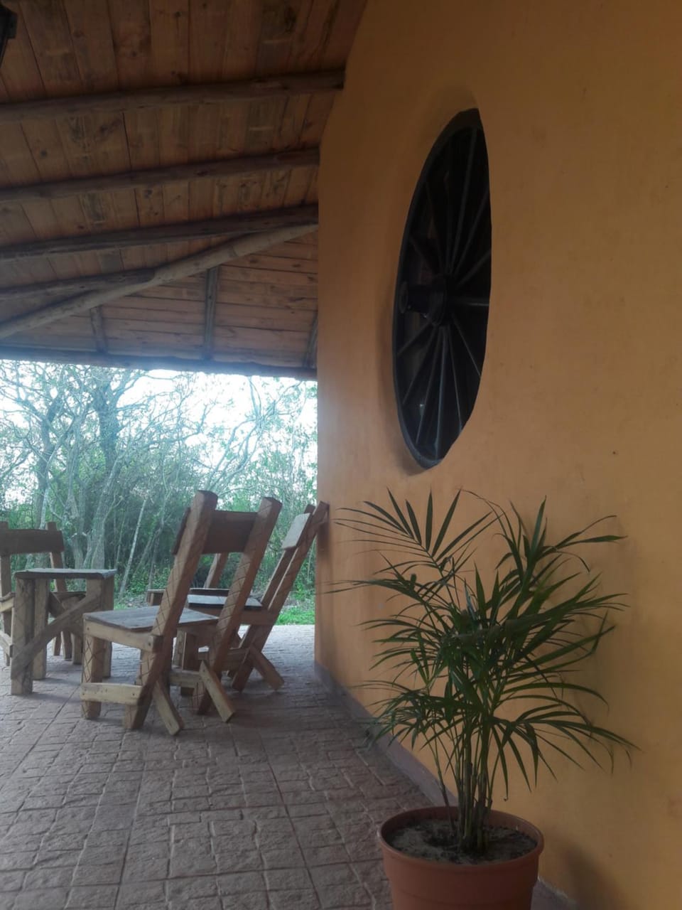 Patio, Balcony/Terrace