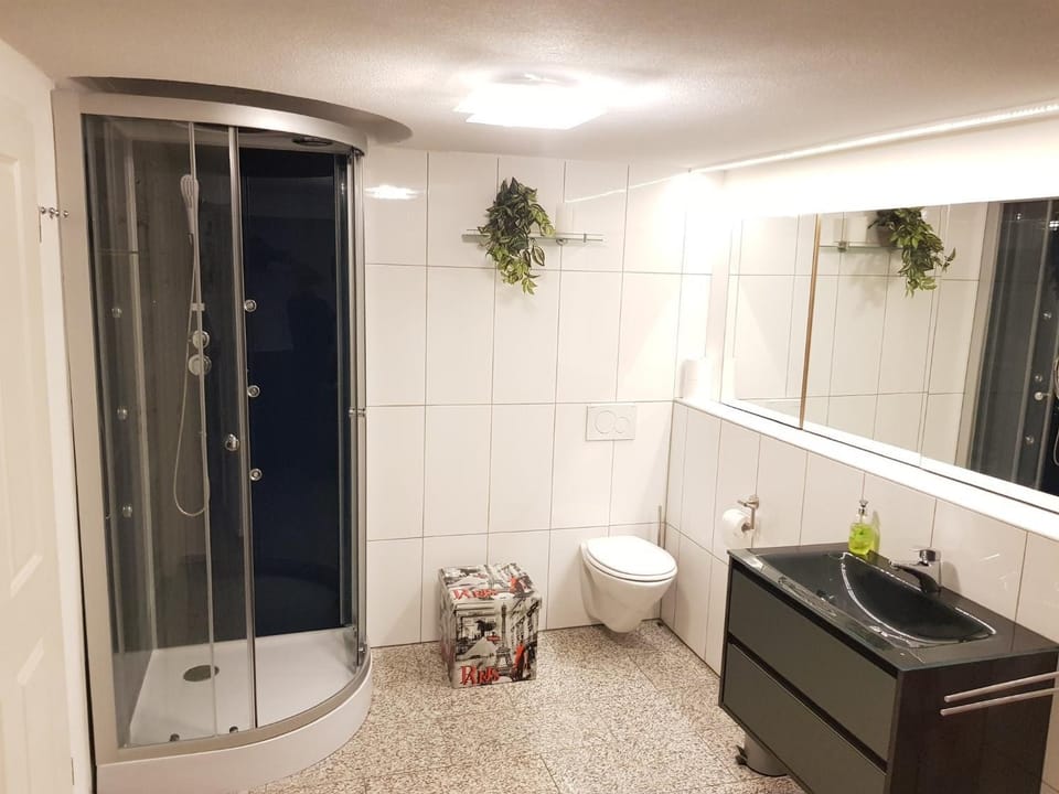 Bathroom, Living room