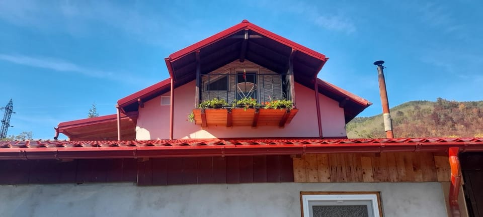 Casa linistita Ilie Bed and Breakfast in Prahova, Romania