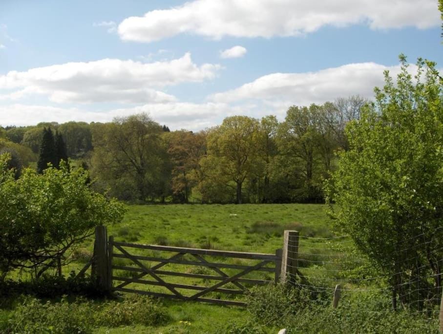 Natural landscape