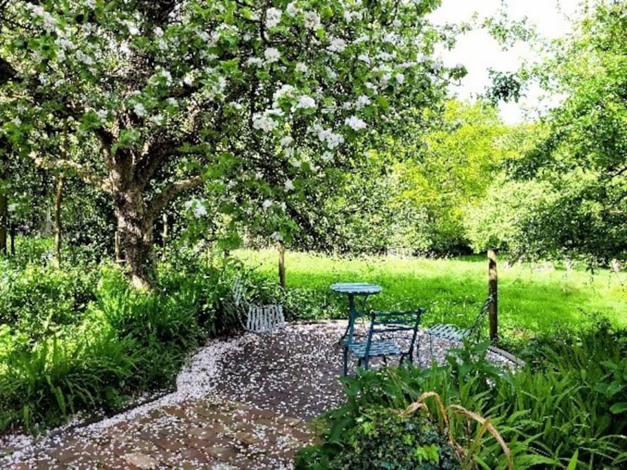 Garden, Spa and wellness centre/facilities