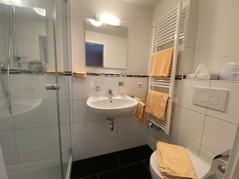 Shower, Toilet, Bathroom, towels