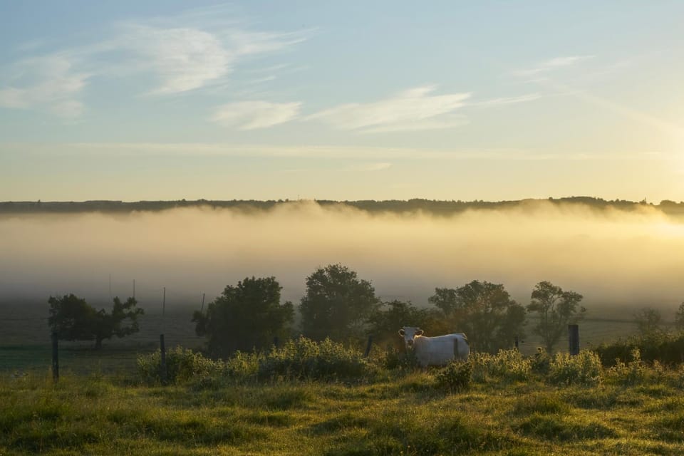 La Colline du Colombier Inn in Bourgogne-Franche-Comté