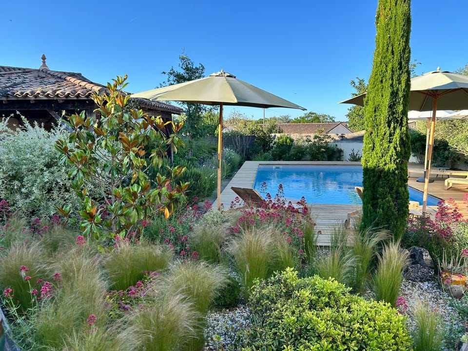 Garden, Pool view, Swimming pool, sunbed