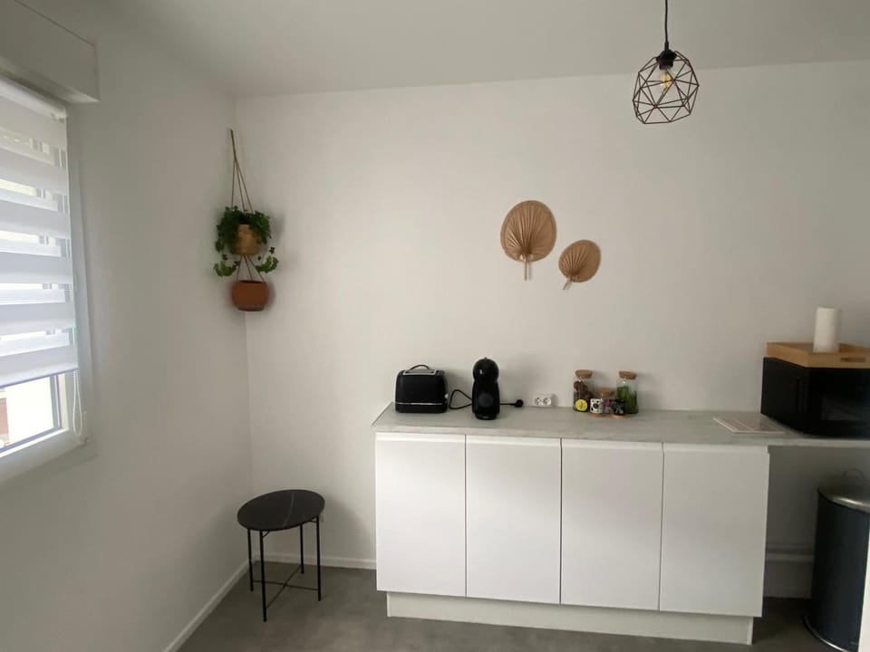 Nancy Autre Canal Chez Hélo Apartment in Nancy