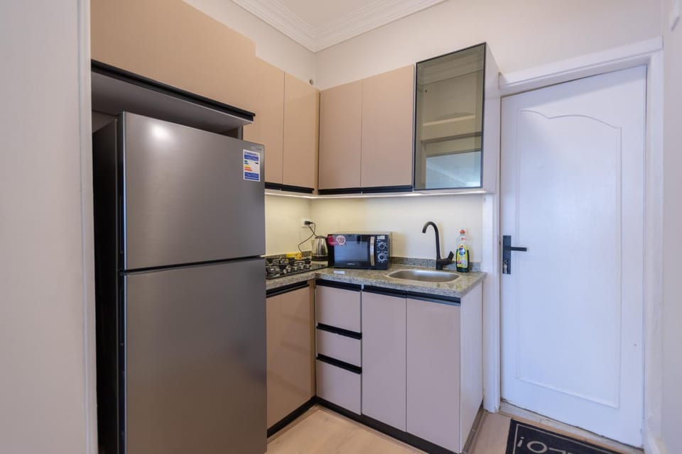 Cozy apartment with Nile View premium location Apartment in Cairo