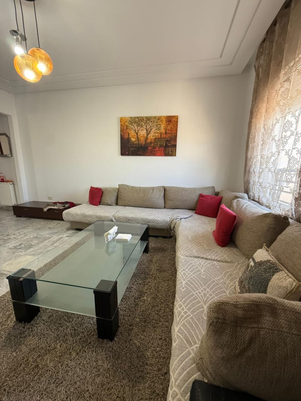 S2 meilleur emplacement à jardin l'aouina Apartment in Tunis