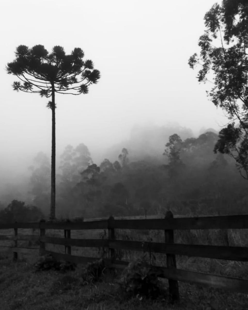 Natural landscape