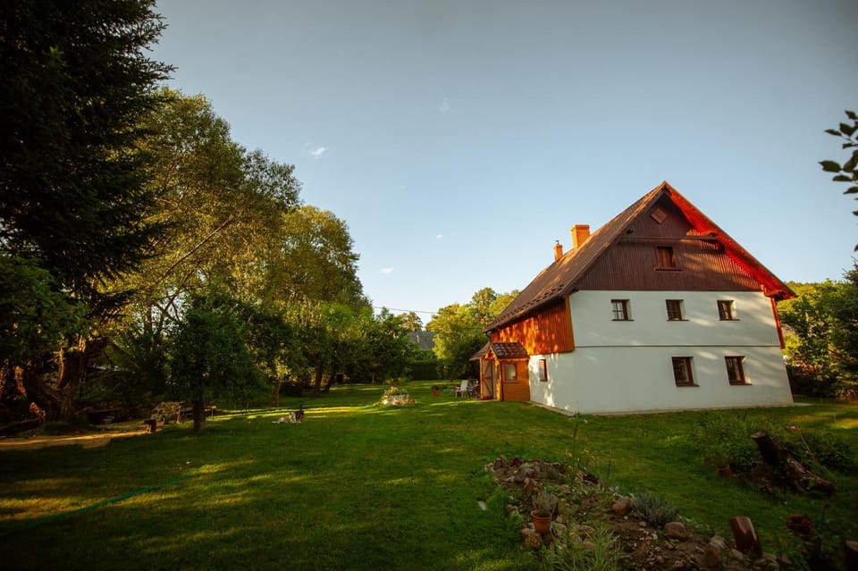 Property building, Garden, Garden view
